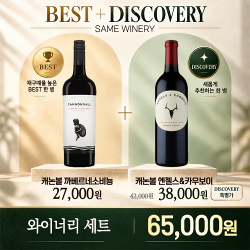 BEST + DISCOVERY ĳ����